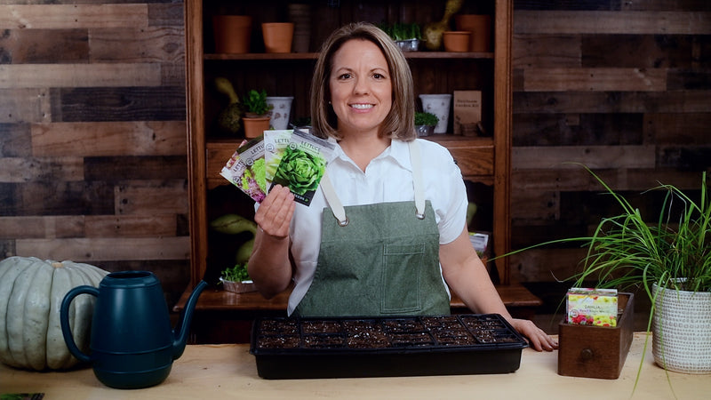 lettuce collection product video why you should grow lettuce seeds sow right seeds video media