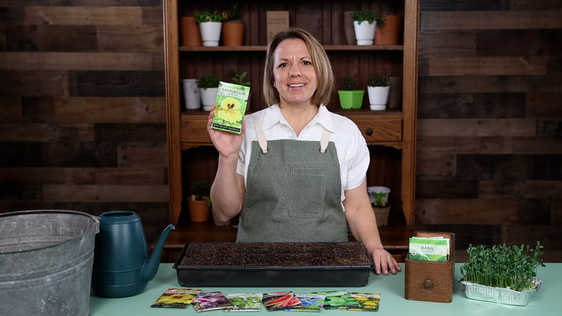 alaska mix nasturtium product video why you should grow nasturtium seeds sow right seeds video media