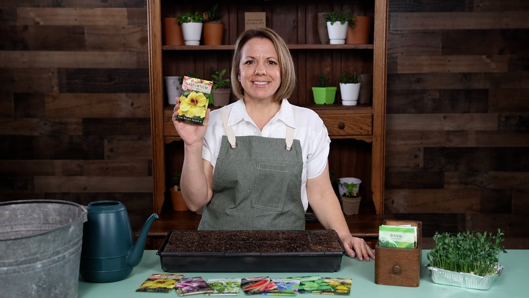 Semi Di Nasturzio Tom Thumb Mix - Pacchetto Da 5 G Per Fiori Colorati E Decorativi In Giardino - Foto 3