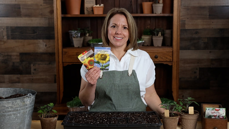 sunflower garden collection product video why you should grow sunflower seeds sow right seeds video media