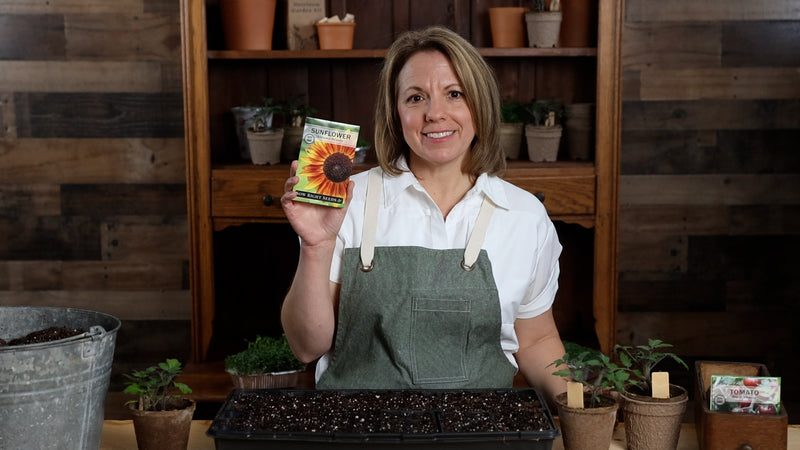 autumn beauty sunflower product video why you should grow sunflower seeds sow right seeds video media