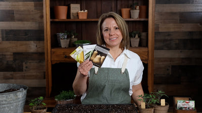 three sisters seed collection product video why you should grow three sisters garden seeds sow right seeds video media
