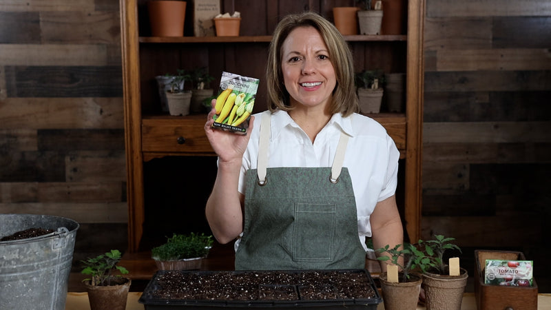 golden zucchini product video why you should grow zucchini seeds sow right seeds video media