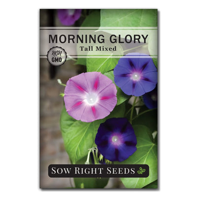 pink and purple mixed vining morning glory seeds for sale