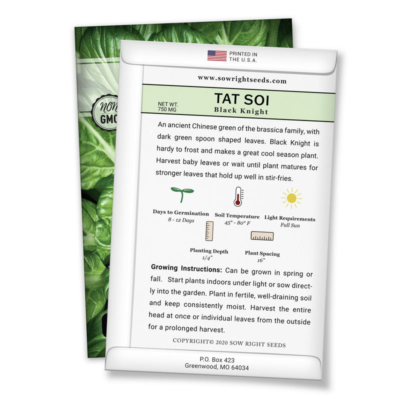 how to grow the best tat soi plants