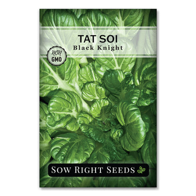 mid stir fry green black knight tat soi seeds for sale