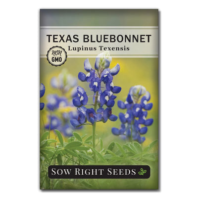 texas blue bonnet seeds for sale