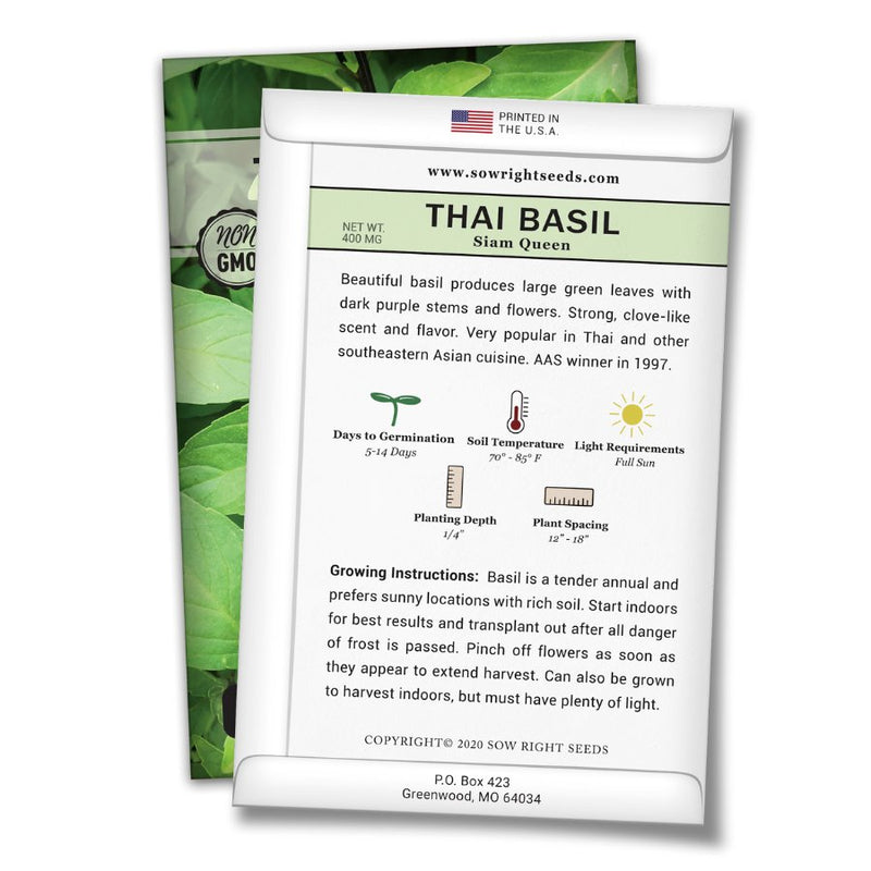 how to grow the best siam queen thai basil plants