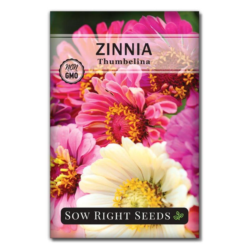 pink white and red dwarf zinnia seeds for sale