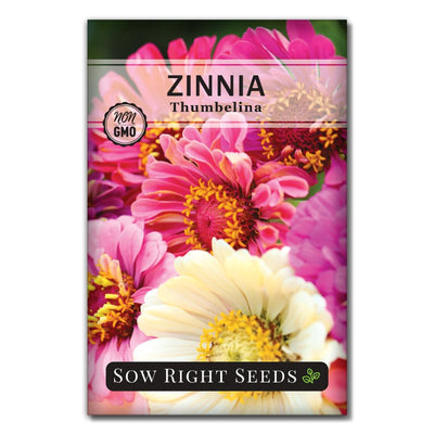 pink flower thumbelina zinnia seeds