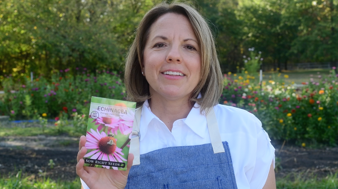Echinacea Seeds