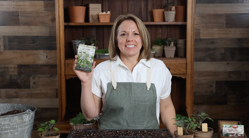 thyme product video why you should grow thyme seeds sow right seeds video media
