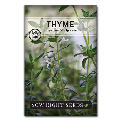 thyme seed packet for planting