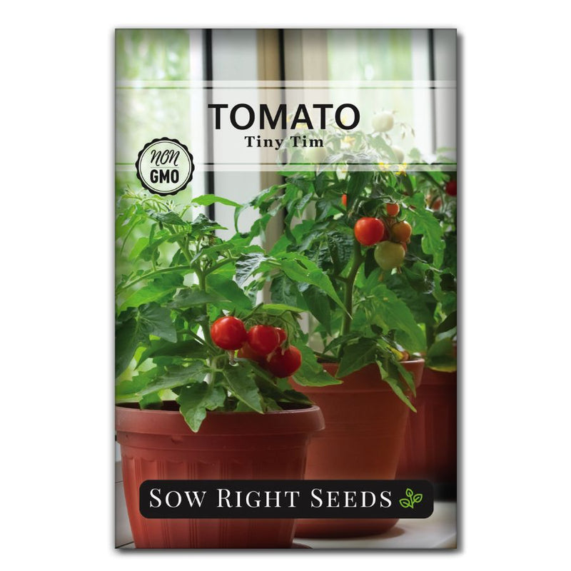 dwarf cherry tiny tim tomato seeds for sale