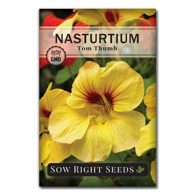 flower tom thumb nasturtium seeds