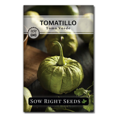 green small Mexican husk vegetable toma verde tomatillo seeds for sale