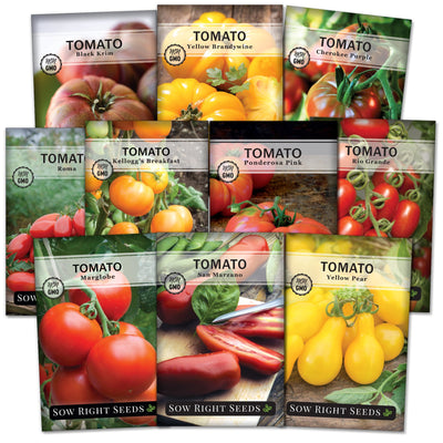 tomato seed packet collection with 10 varieties of seeds for sale