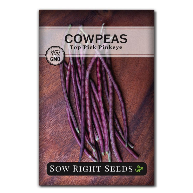 long slender pink purple cow pea seeds for sale