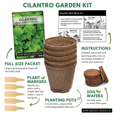 cilantro starter kit with everything needed to grow your own herbs
