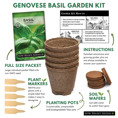 basil growing kit with materials to grow