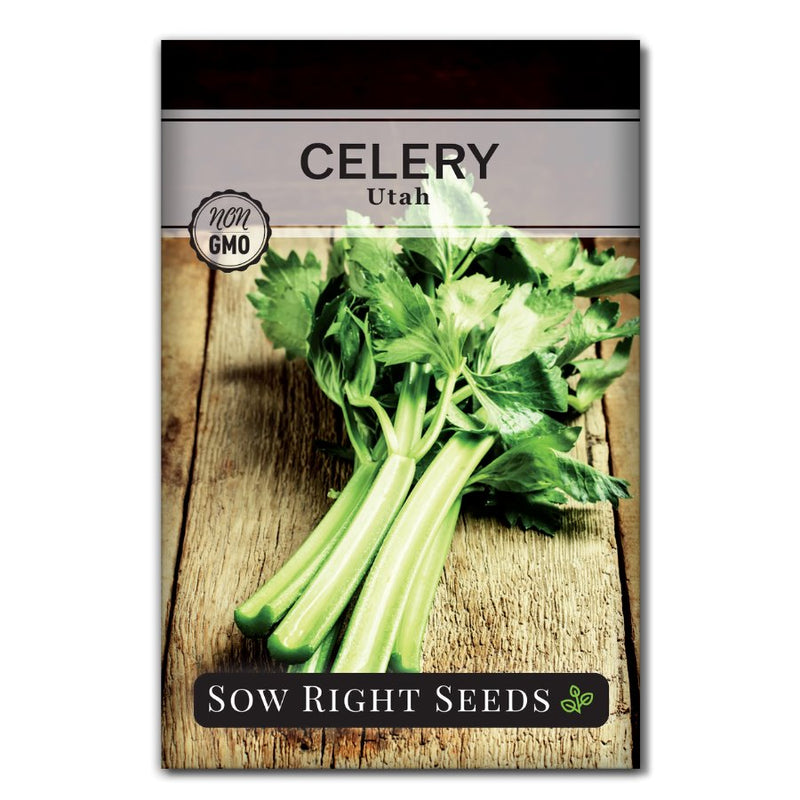 stringless self blanching vegetable utah celery seeds for sale