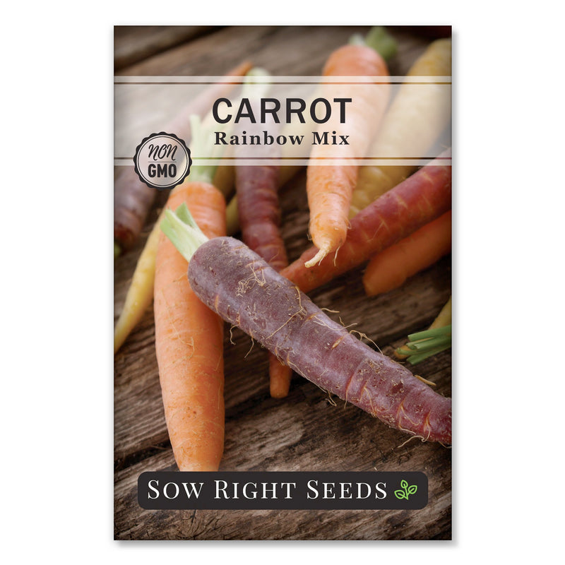 rainbow mix purple orange and yellow carrot seeds for planting