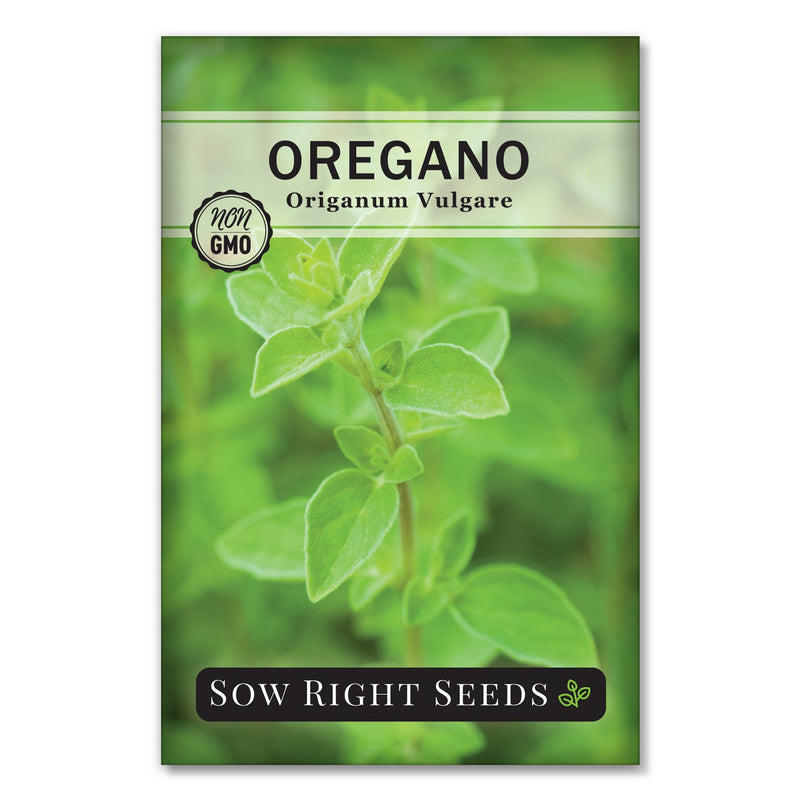 grow tasty italian oregano in your hydroponic growing system