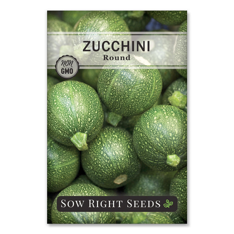 Large round zucchini seeds for planting