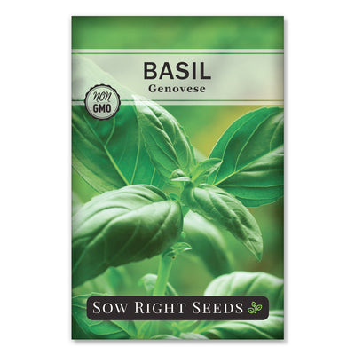 large leaf sweet basil seed packet for sale