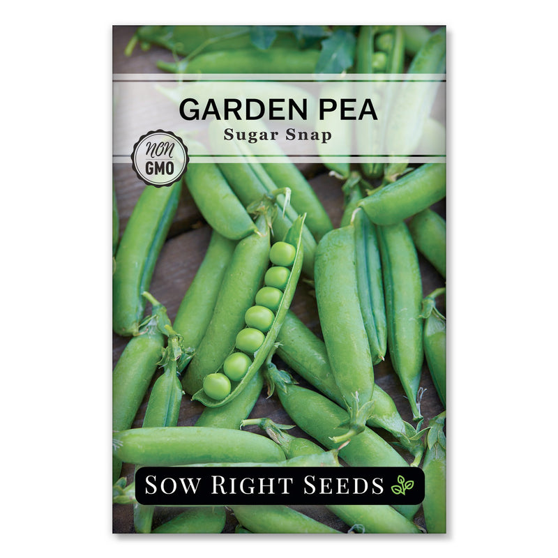 sugar snap garden pea seeds for planting