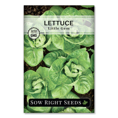 small head little gem lettuce seeds for planting