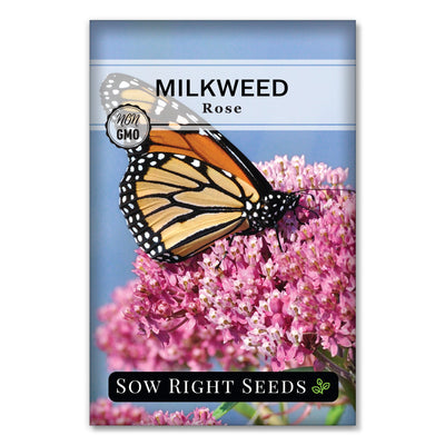 rose swamp milkweed asclepias seeds for planting
