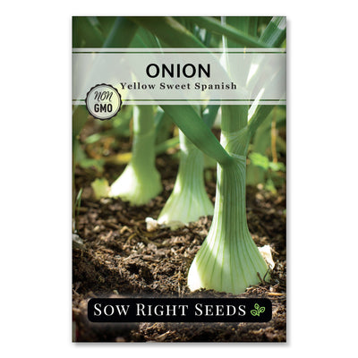 yellow sweet onion seeds for planting