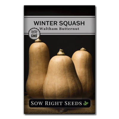 vegetable waltham butternut winter squash seeds