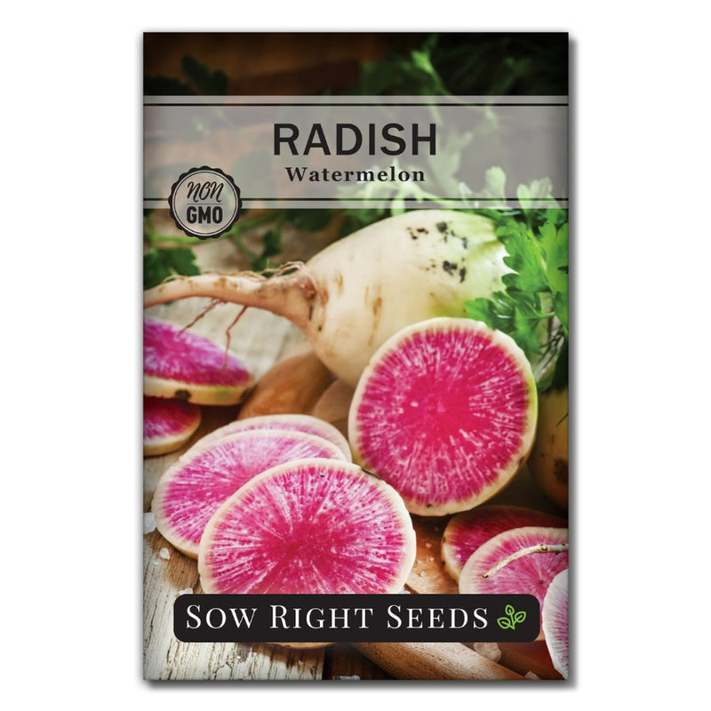 red meat rooseheart vegetable watermelon radish seeds for sale