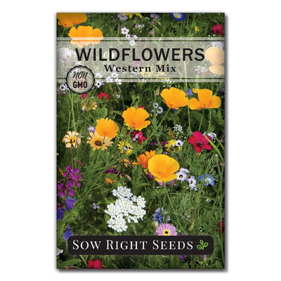 mix of annual and perennial wildflower seeds for the west for sale