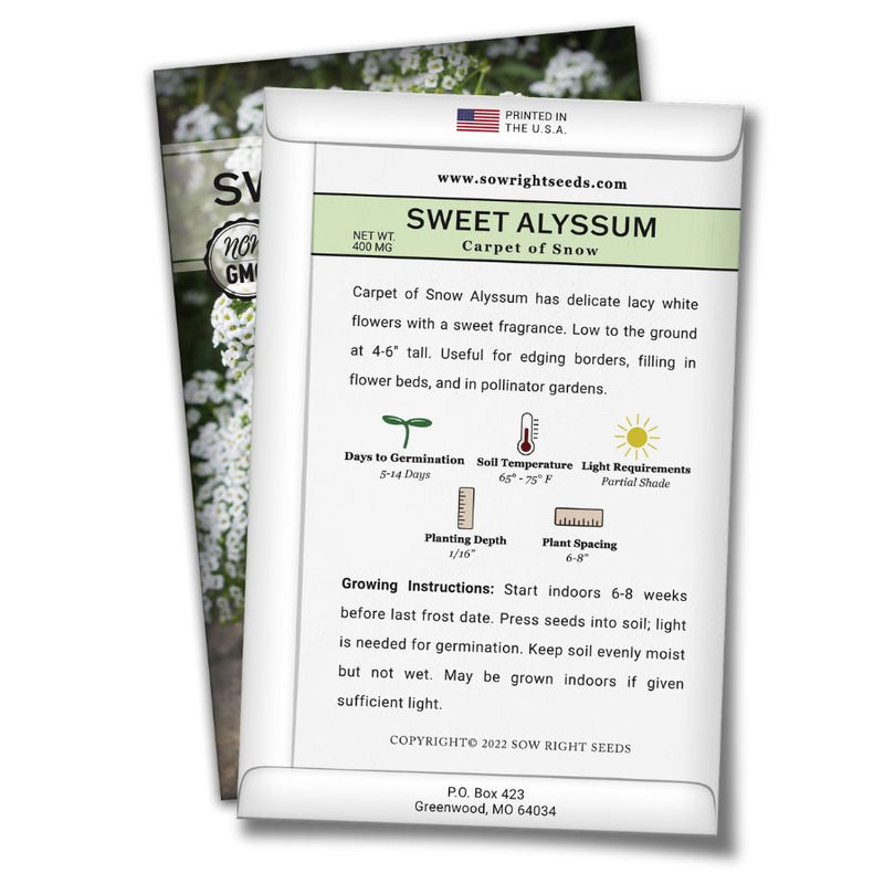 how to grow the best alyssum plants
