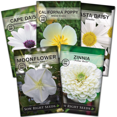 moon garden flower collection with 5 varieties for sale