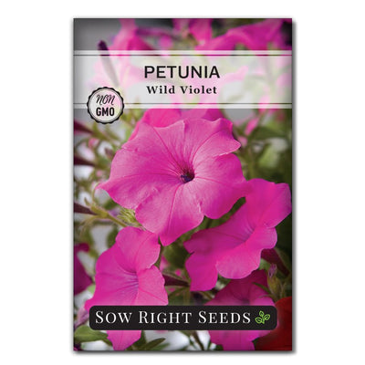 vibrant violet petunia flower seeds for sale