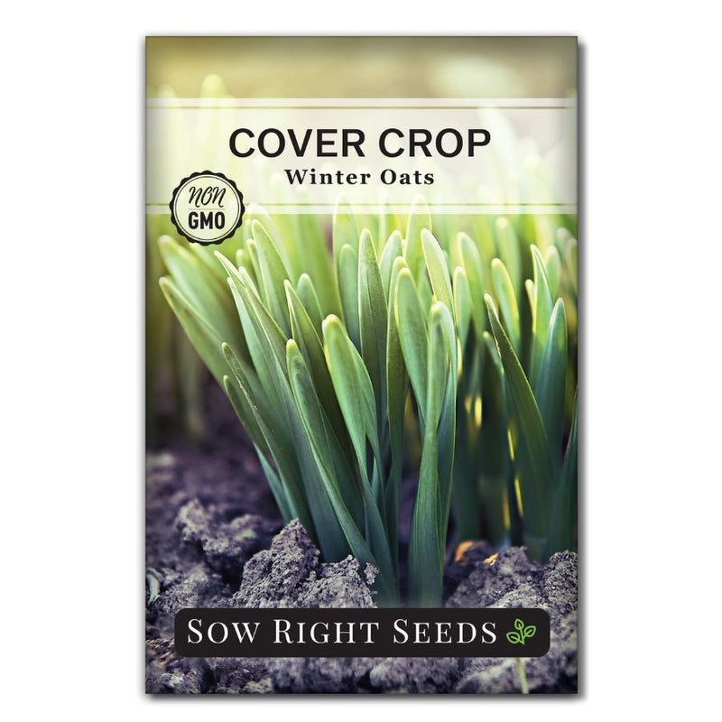 grain oats cover crop seed packet