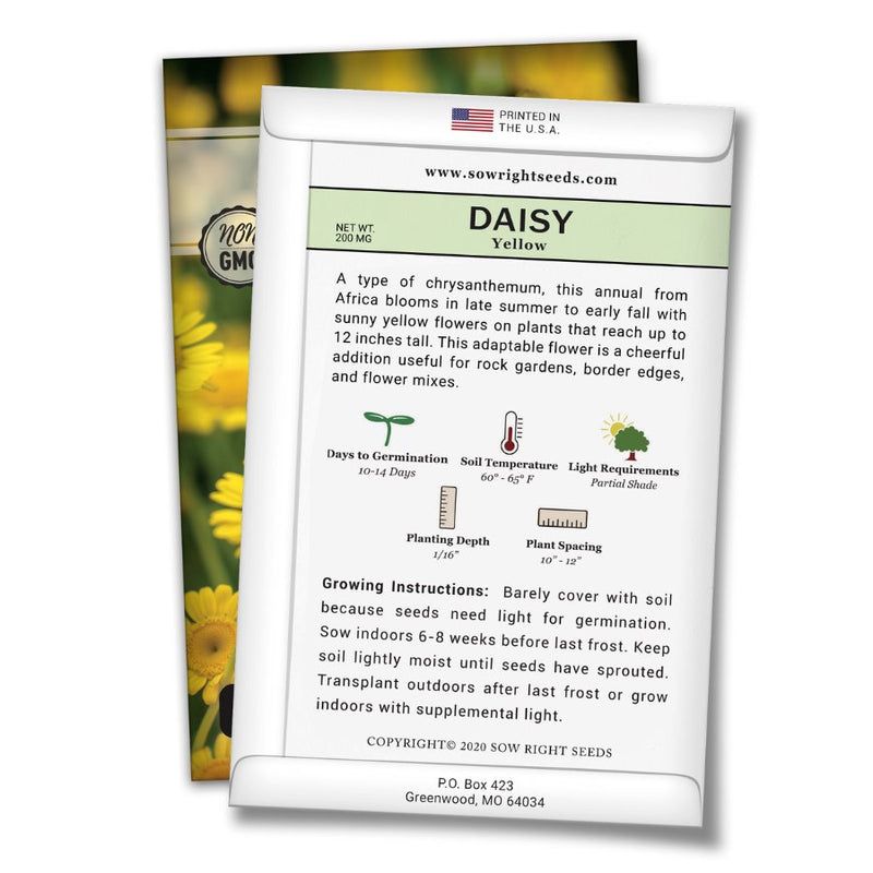 how to grow the best yellow daisy plants