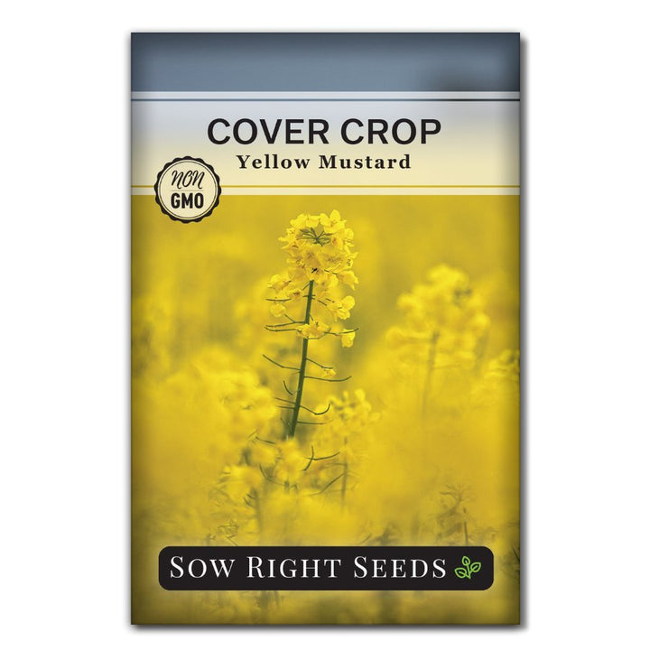 YellowMustardCoverCropSeedPack