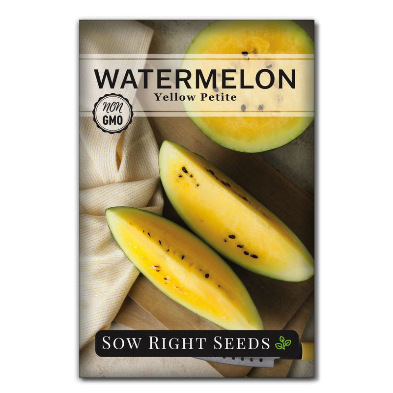 small round yellow unique watermelon seeds for sale