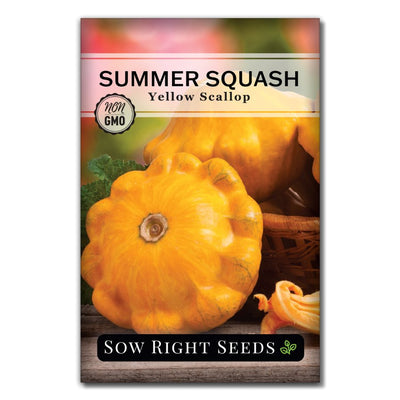 patty pan delicate mild vegetable yellow scallop summer squash seeds for sale