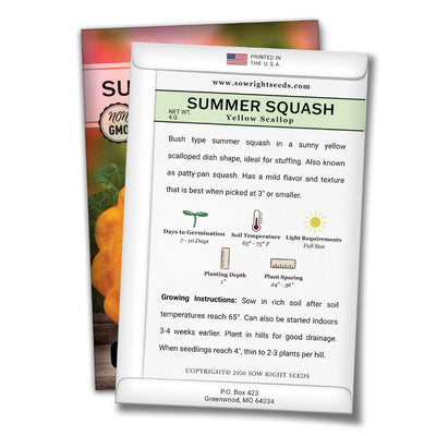 how to grow the best yellow scallop summer squash plants
