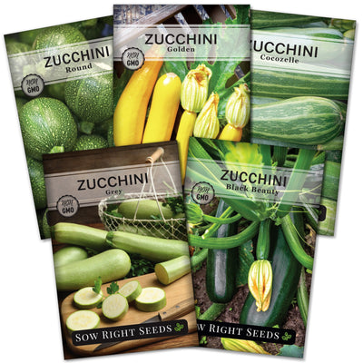 zucchini squash seed packet collection with 5 varieties of seeds for sale