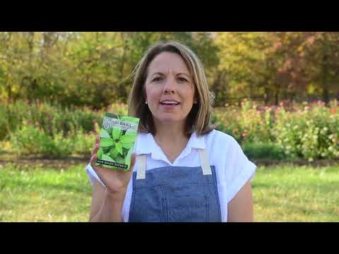 thai basil product video why you should grow thai basil herb seeds sow right seeds video media